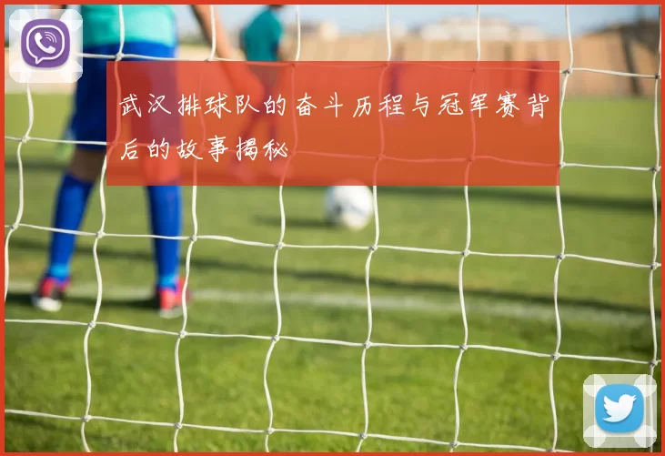 武汉排球队的奋斗历程与冠军赛背后的故事揭秘