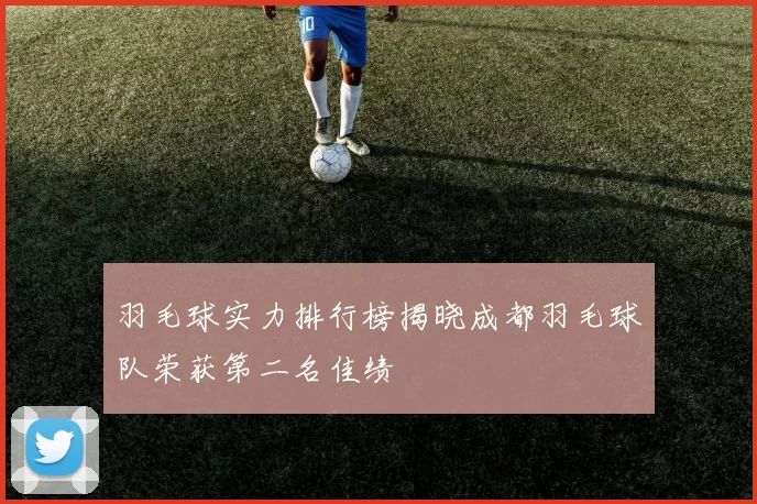 羽毛球实力排行榜揭晓成都羽毛球队荣获第二名佳绩