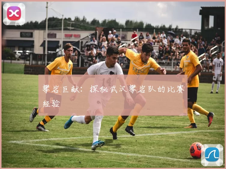 攀岩巨献：探秘武汉攀岩队的比赛经验