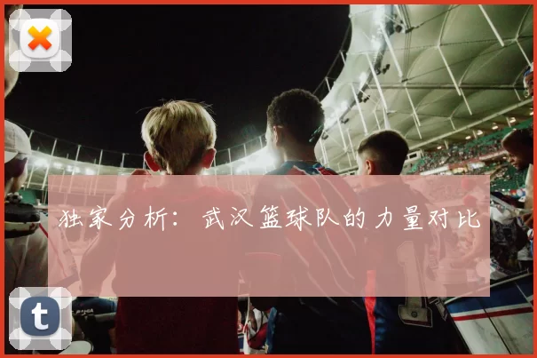 独家分析：武汉篮球队的力量对比