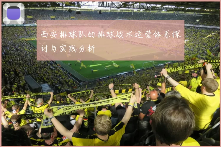 西安排球队的排球战术运营体系探讨与实践分析