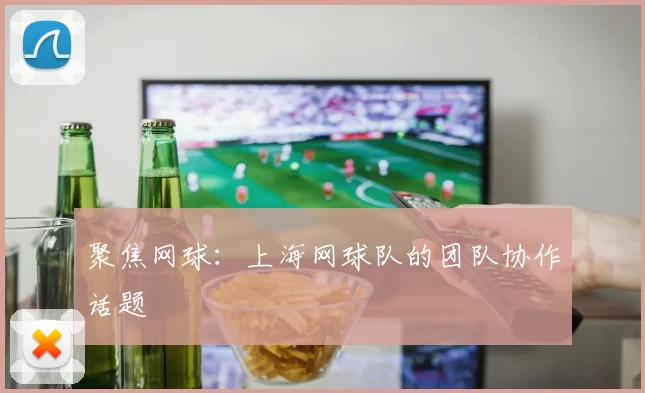 聚焦网球：上海网球队的团队协作话题